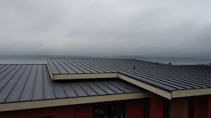 Fast & Reliable Emergency Roof Repairs in Rigby, ID